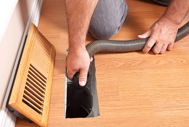 Best Professional Duct Cleaning Services  in Westchase, FL