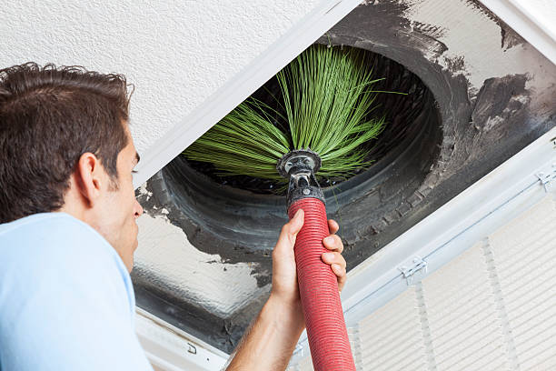 Best Affordable HVAC Duct Cleaning  in Westchase, FL