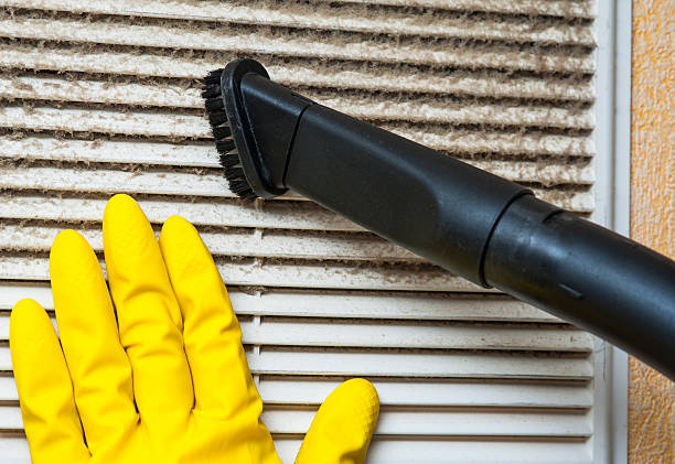 Best Local Air Duct Cleaning Services  in Westchase, FL